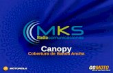 Canopy Cobertura de Banda Ancha. Canopy Solucion Inalámbrica de Banda Ancha Interface de Aire Especializada Aplicaciones Fijas Bandas No-Licenciadas 900.
