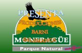 Monfragüe Fue declarado Parque Natural en 1979 (Real Decreto 1927/1979, de 4 de abril) y Parque Nacional en 2007 (Ley 1/2007 de 2 de Marzo). Ocupa una.
