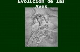 Evolución de las Aves. Controversia sobre la evolución de las aves: Genealogía evolutiva Aparición de la habilidad del vuelo.