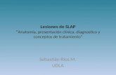 Lesiones de SLAP “ Anatomía, presentación clínica, diagnostico y conceptos de tratamiento” Sebastián Ríos M. UDLA.