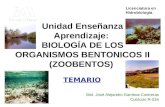 Unidad Enseñanza Aprendizaje: BIOLOGÍA DE LOS ORGANISMOS BENTONICOS II (ZOOBENTOS) TEMARIO Biol. José Alejandro Gamboa Contreras Cubículo R-034 Licenciatura.