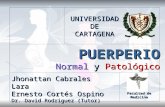 PUERPERIO Normal y Patológico UNIVERSIDADDECARTAGENA Jhonattan Cabrales Lara Ernesto Cortés Ospino Dr. David Rodriguez (Tutor) Facultad de Medicina.