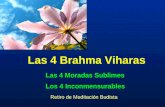 Las 4 Brahma Viharas Retiro de Meditación Budista Los 4 Inconmensurables Las 4 Moradas Sublimes.