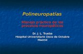 Polineuropatías Manejo práctico de los procesos neuropáticos Dr. J. L. Trueba Hospital Universitario Doce de Octubre Madrid.