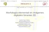 IMAGEN-A, Año I, n. 2, Grupo 12 Morfología elemental en imágenes digitales binarias 3D Morfología elemental en imágenes digitales binarias 3D Aarón Ruiz.