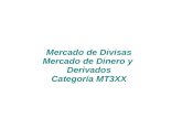 Mercado de Divisas Mercado de Dinero y Derivados Categoría MT3XX.