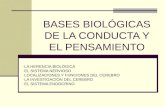 BASES BIOLÓGICAS DE LA CONDUCTA Y EL PENSAMIENTO - LA HERENCIA BIOLÓGICA - EL SISTEMA NERVIOSO - LOCALIZACIONES Y FUNCIONES DEL CEREBRO - LA INVESTIGACIÓN.