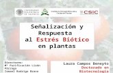 Señalización y Respuesta al Estrés Biótico en plantas Laura Campos Beneyto Doctorado en Biotecnología Directores: Mª Purificación Lisón Párraga Ismael.