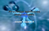 Procesos químicos industriales Giselle Escobar R.