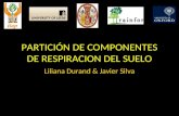 PARTICIÓN DE COMPONENTES DE RESPIRACION DEL SUELO Liliana Durand & Javier Silva.
