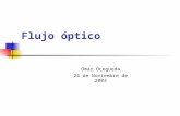 Flujo óptico Omar Ocegueda 24 de Noviembre de 2003.