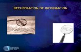 Organización Panamericana de la Salud RECUPERACION DE INFORMACION.