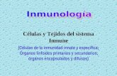 1 Células y Tejidos del sistema Inmune (Células de la inmunidad innata y específica; Órganos linfoides primarios y secundarios; órganos encapsulados y.