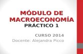 MÓDULO DE MACROECONOMÍA PRÁCTICO 1 CURSO 2014 Docente: Alejandra Picco.