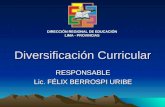 Diversificación Curricular RESPONSABLE Lic. FÉLIX BERROSPI URIBE DIRECCIÓN REGIONAL DE EDUCACIÓN LIMA - PROVINCIAS.