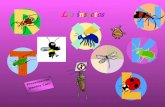 Los insectosLos insectos Presentación Jeanine Carr.