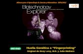 Huella Genética o “Fingerprinting” Original de Essy Levy, M.S. y Julie Mathern Alianza para el Aprendizaje de Ciencias y Matemáticas (AlACiMa)
