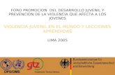 2005 Organización Panamericana de la Salud FORO PROMOCION DEL DESARROLLO JUVENIL Y PREVENCION DE LA VIOLENCIA QUE AFECTA A LOS JOVENES VIOLENCIA JUVENIL.