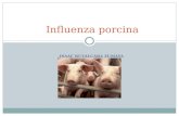 ISAAC RUVALCABA ZUMAYA Influenza porcina. La gripe porcina (también conocida como influenza porcina o gripe del cerdo) es una enfermedad infecciosa causada.