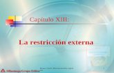 Braun, Llach: Macroeconomía argentina 1 Capítulo XIII: La restricción externa.