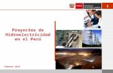 1 Febrero 2014 Proyectos de Hidroelectricidad en el Perú.