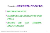Fundamentos Matemáticos II Electrónicos 01, 02 Curso 2007-08 1 Tema 2.- DETERMINANTES  DETERMINANTES  MATRICES EQUIVALENTES POR FILAS  RANGO DE UNA.