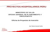 PROYECTOS HOSPITALARIOS PERU PROYECTOS HOSPITALARIOS PERU MINISTERIO DE SALUD OFICINA GENERAL DE PLANEAMIENTO Y PRESUPUESTO Oficina de Proyectos de Inversión.