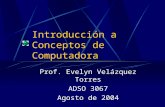 Introducción a Conceptos de Computadora Prof. Evelyn Velázquez Torres ADSO 3067 Agosto de 2004.