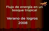 Flujo de energía en un bosque tropical Verano de logros 2008.