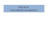 ESCUELA “ SALVADOR ALVARADO “. PROYECTO QUE LOS ALUMNOS TENGAN UNA BUENA ALIMENTACION 1) siente Se enlistan 7 problemáticas que afectan el en torno No.