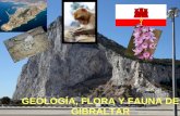 Geología, flora y fauna de Gibraltar GEOLOGÍA, FLORA Y FAUNA DE GIBRALTAR.