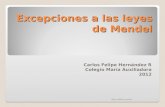 Excepciones a las leyes de Mendel Carlos Felipe Hernández R Colegio María Auxiliadora 2012 Tema 2: Mitosis y meiosis1.