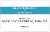 RIESGOS BANCARIOS YFINANCIEROS PROFESOR: DARIS JAVIER CUEVAS, PhDc, MA TEMA VI.