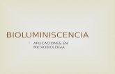 BIOLUMINISCENCIA  APLICACIONES EN MICROBIOLOGIA.