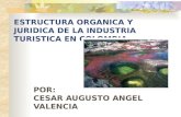 ESTRUCTURA ORGANICA Y JURIDICA DE LA INDUSTRIA TURISTICA EN COLOMBIA POR: CESAR AUGUSTO ANGEL VALENCIA.