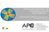 PROGRAMA REGIONAL DE COOPERACION CON MESOAMERICA – COMPONENTE PROMOCION SOCIAL Octubre 31 de 2012.