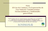 Foro El Gas de Camisea y la Exportación de Gas Natural: Consideraciones Socioeconómicas y Ambientales para el País Supervisión de los compromisos asumidos.