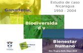 Ganadería, Estudio de caso Nicaragua 1950 - 2004 Biodiversidad y Bienestar humano Dra. Regina Belli, Mayo 2010.