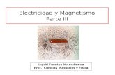Electricidad y Magnetismo Parte III Ingrid Fuentes Norambuena Prof. Ciencias Naturales y Física.
