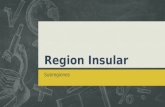 Region Insular Subregiones. .