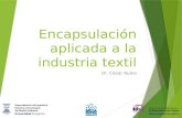 Encapsulación aplicada a la industria textil Dr. César Rubio.