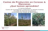 Costos de Producción en Cerezas & Manzanas ¿Qué hemos aprendido? R. Karina Gallardo Centro de Investigación y Extension en Arboles Frutales Facultad de.