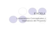 EXCELL Lineamientos Conceptuales y Operativos del Proyecto.