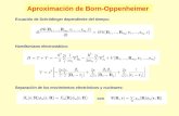 Aproximación de Born-Oppenheimer Ecuación de Schrödinger dependiente del tiempo: Hamiltoniano electrostático: Separación de los movimientos electrónicos.