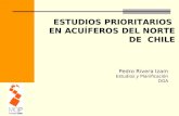 ESTUDIOS PRIORITARIOS EN ACUÍFEROS DEL NORTE DE CHILE Pedro Rivera Izam Estudios y Planificación DGA.