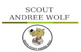 SCOUT ANDREE WOLF. Quienes somos…  Somos un movimiento de niñas, niños, jóvenes y adultos comprometidos en forma libre y voluntaria. Un movimiento de.