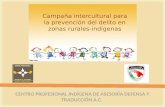 CENTRO PROFESIONAL INDÍGENA DE ASESORÍA DEFENSA Y TRADUCCIÓN A.C. Campaña intercultural para la prevención del delito en zonas rurales-indígenas.