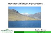 Www.ambientalperuana.com Recursos hídricos y proyectos Cecilia Blume- 20/04/10.