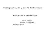 Conceptualización y Diseño de Proyectos Prof. Ricardo Puerta Ph.D Primer Modulo: Matriz sin Método Febrero 2013.