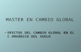MASTER EN CAMBIO GLOBAL EFECTOS DEL CAMBIO GLOBAL EN EL C ORGÁNICO DEL SUELO.